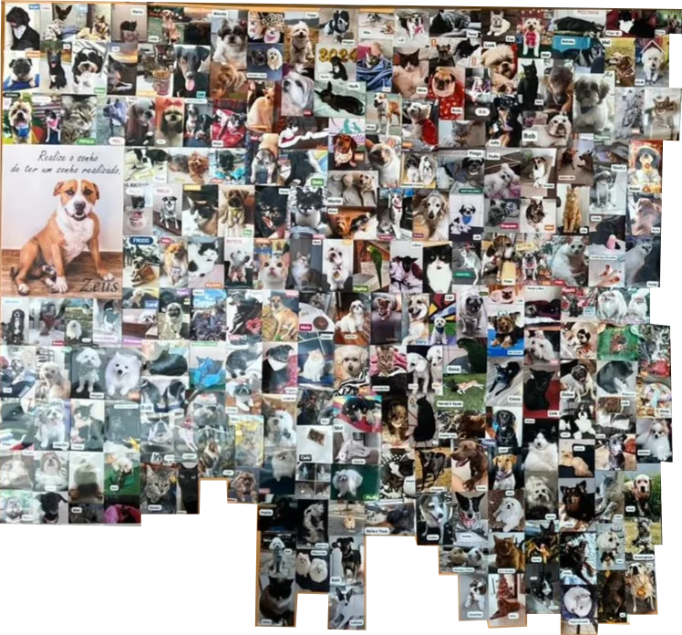 Mosaico com fotos dos pets de tutores atendidos pela NatureVet Pharma